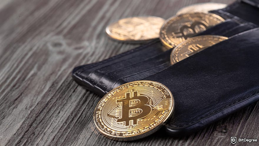 Best cryptocurrency wallet: Bitcoins in a wallet.