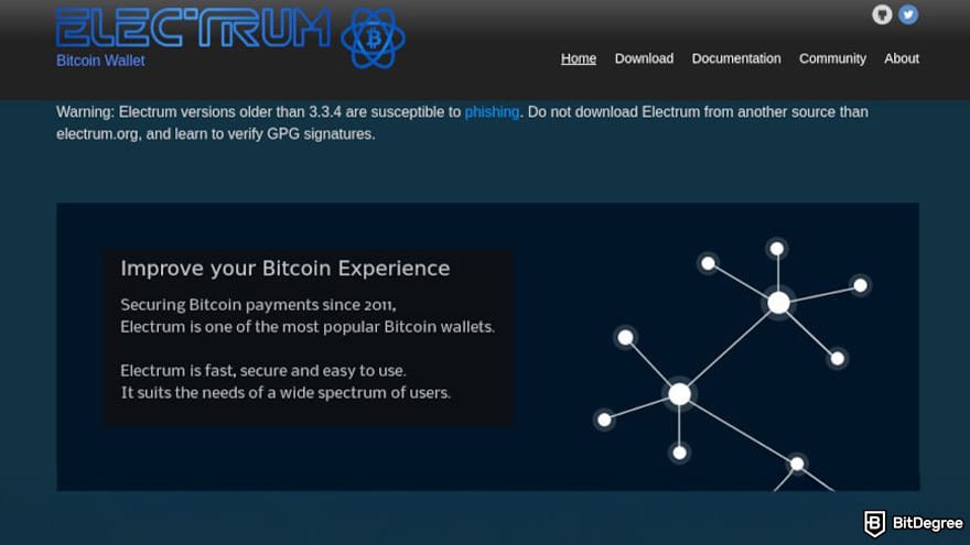 Best cryptocurrency wallet: Electrum.