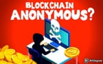 Anonymous & Decentralized Blockchains: The Cornerstone of Crypto