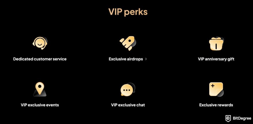 WEEX review: VIP program perks.
